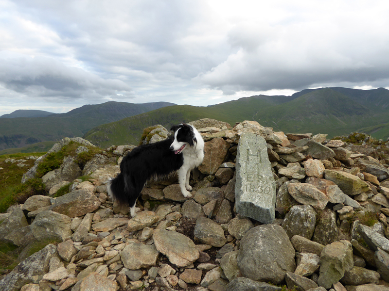 Sheffield Pike Summit